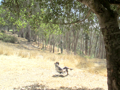 El Parque Regional Anthony Chabot en Castro Valley cuenta con hermosas áreas que invitan a la relajación. 